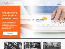 Raft Consulting A/S